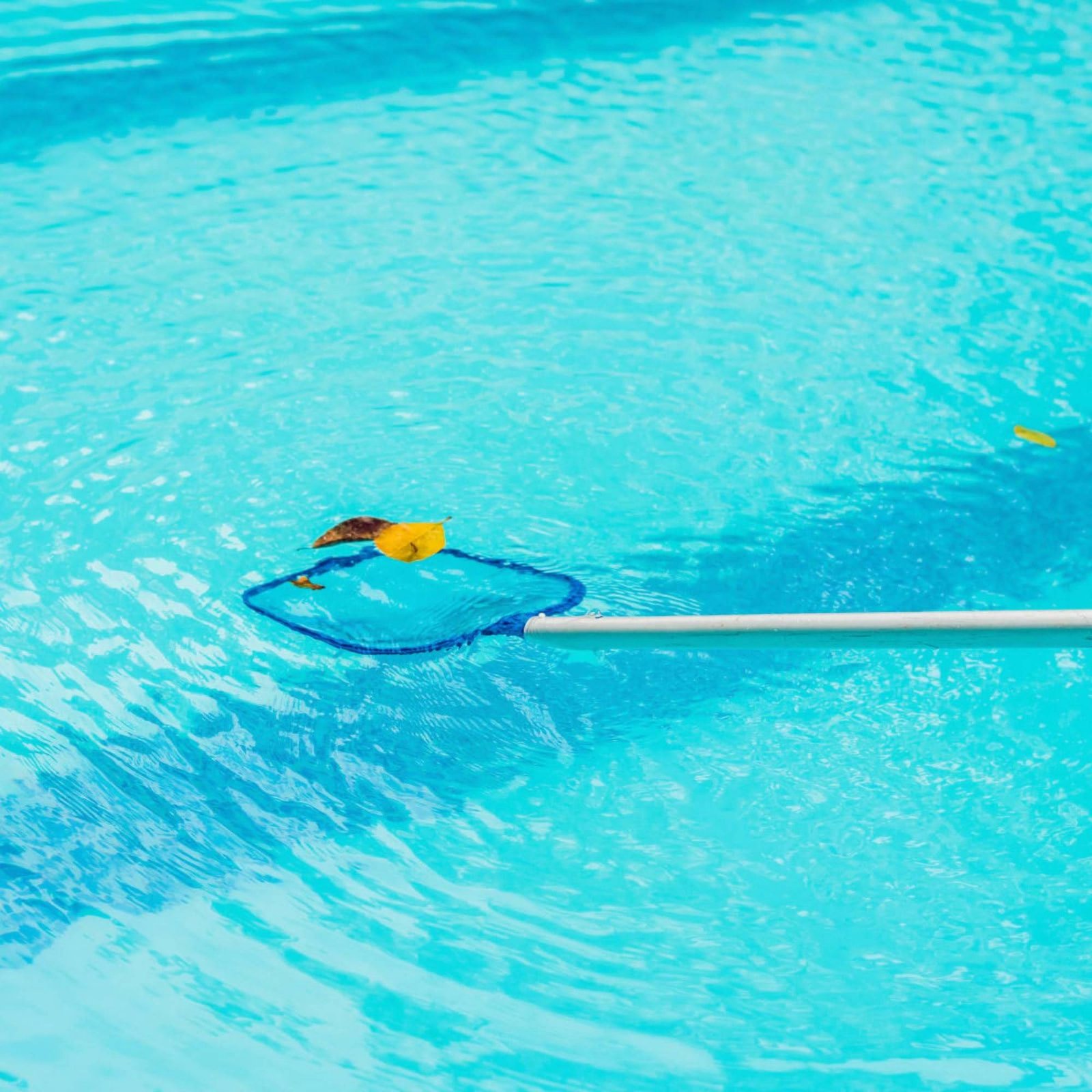 Detachable Pool Foliage Net Ea - Pool Skimmer Net 评论和价格