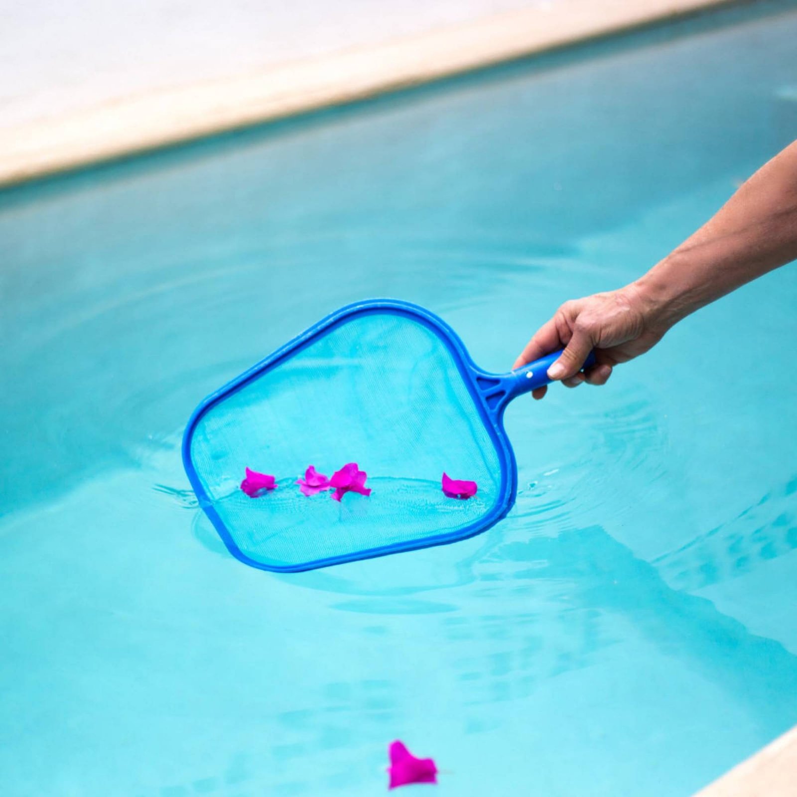 Detachable Pool Foliage Net Ea - Pool Skimmer Net 评论和价格