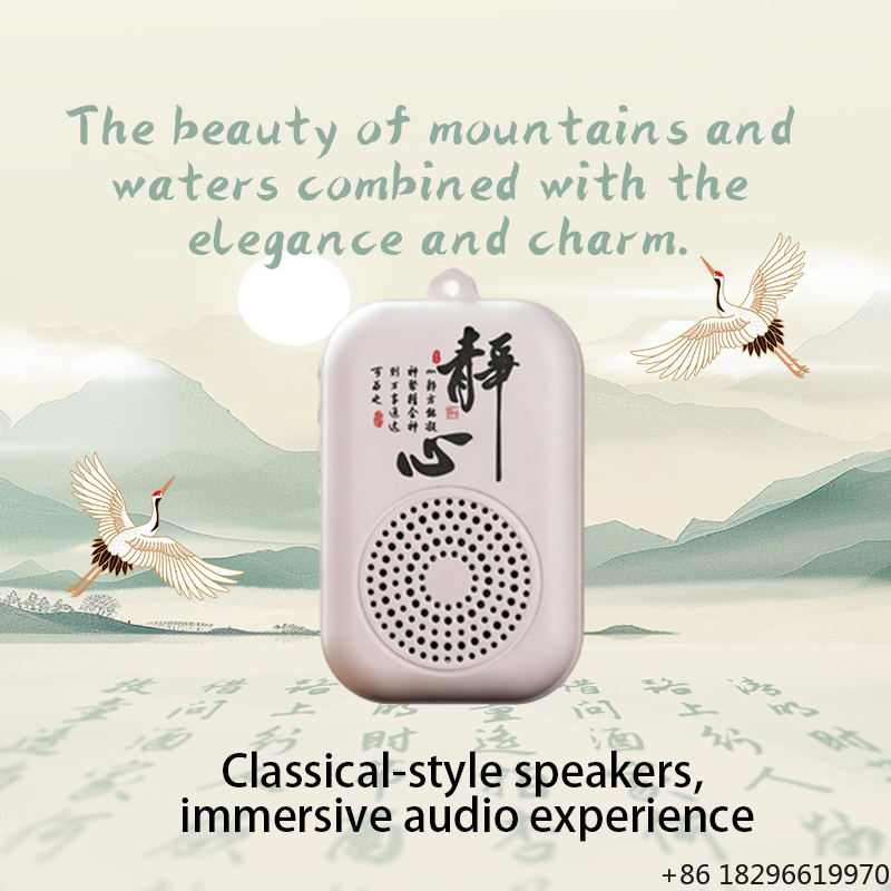 Solar Rock Speakers Outdoor Wa - Pool Light Solar Rechargeable 评论和价格